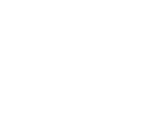 Georgia State University